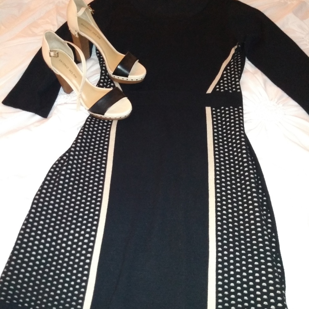 The Limited beautiful sweater dress